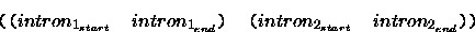 \begin{displaymath}
\mbox{\tt (} 
\mbox{\tt (} 
intron_{1_{start}}\;\;\;\; intro...
 ...{2_{start}}\;\;\;\; intron_{2_{end}}
\mbox{\tt )}
\mbox{\tt )} \end{displaymath}