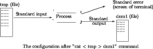 \begin{picture}
(300,110)
\put(35,70){Standard input}
\put(190,60){Standard}
\pu...
 ......}
\put(249,45){......}
\put(249,40){......}
\put(249,35){......}\end{picture}