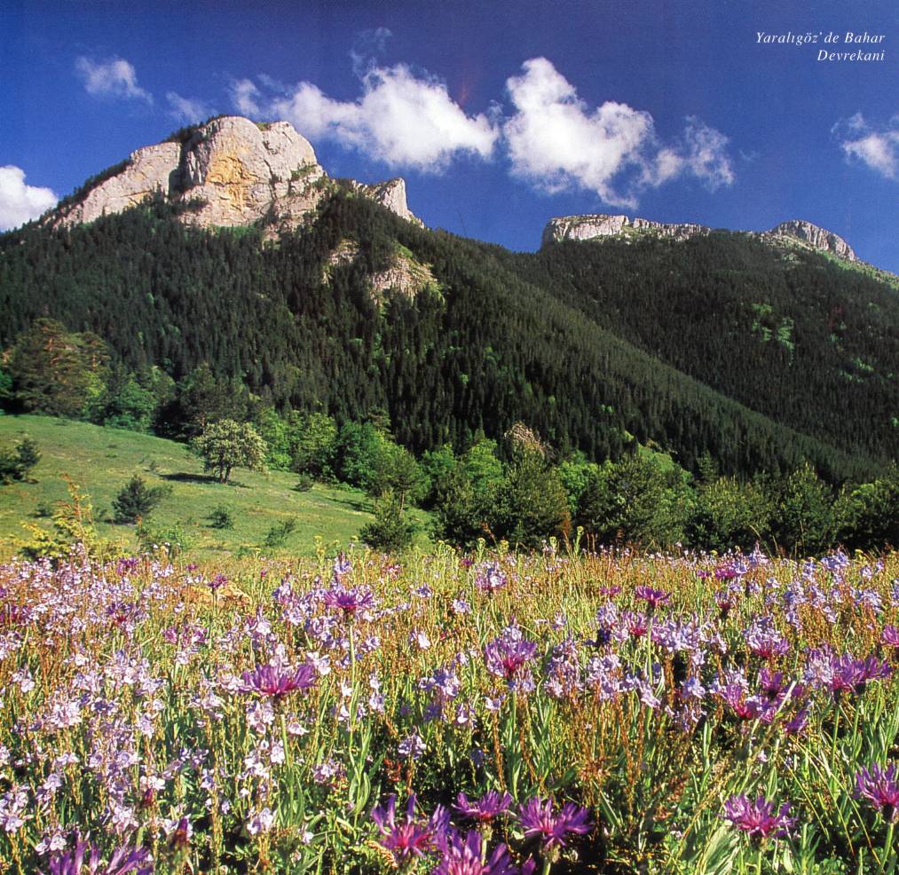 kastamonu-33.jpg