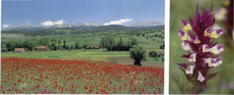 kastamonu-35.jpg