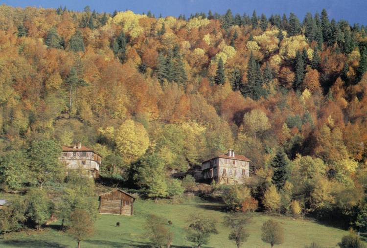 kastamonu-37.jpg