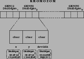 \includegraphics[width=0.5\textwidth]{ucolukchromosome.eps}