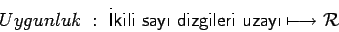 \begin{displaymath}
Uygunluk\; :\; \mbox{\sf kili say dizgileri uzay} \longmapsto \cal{R}
\end{displaymath}
