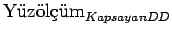 $\mbox{Yzlm}_{KapsayanDD}$